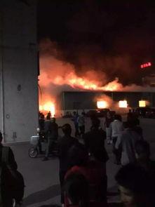 马皮附近火灾最新爆料,揭秘火因与救援行动  第2张